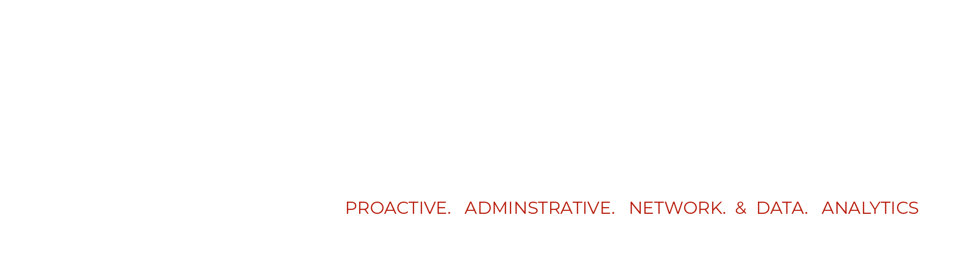 P.A.N.D.A Logo